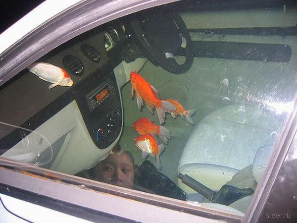 Четырехколесный аквариум в Бангкоке (фото)