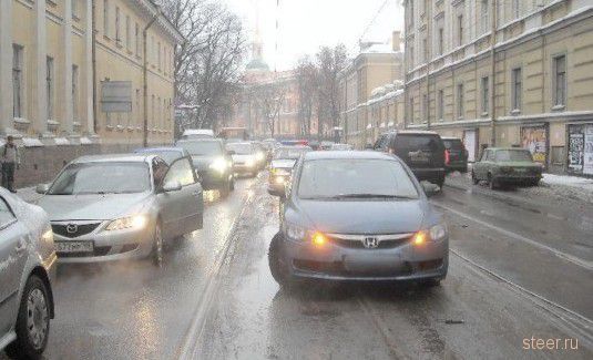 Неожиданное препятствие (фото)
