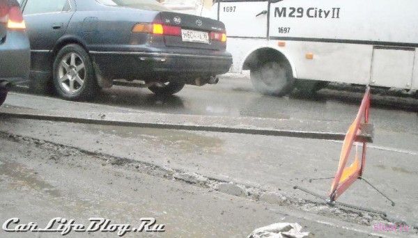 Неожиданное препятствие (фото)