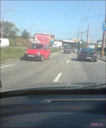 Дорожные приколы (фото)