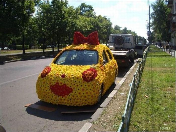Дорожные приколы (фото)