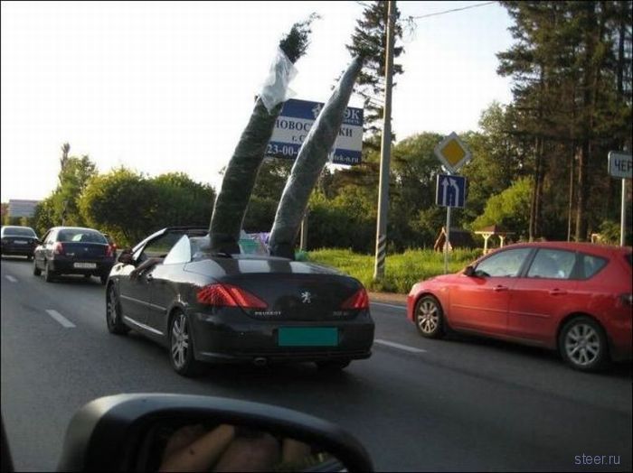Дорожные приколы (фото)