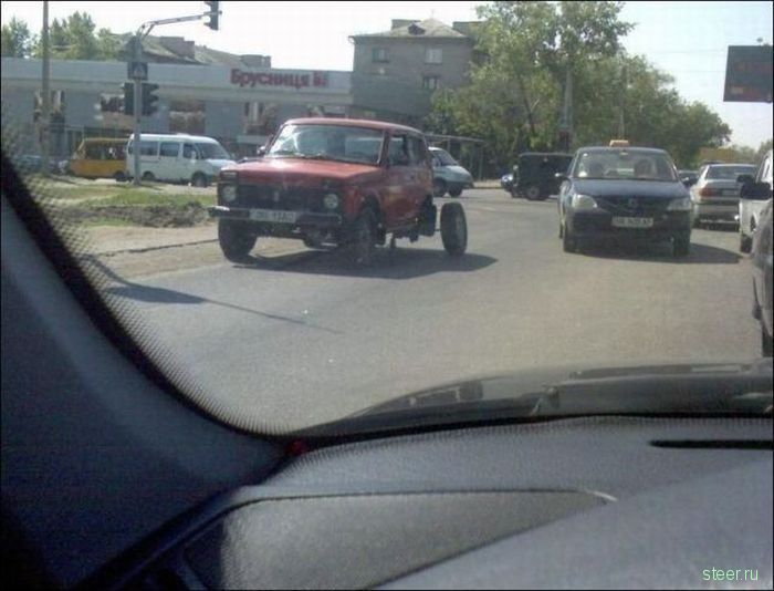 Дорожные приколы (фото)