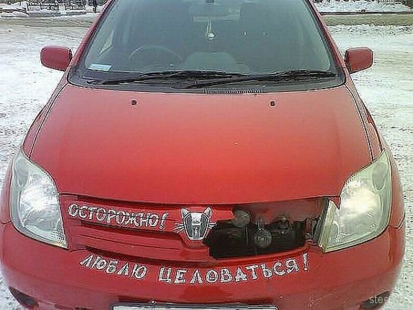 Послания на автомобилях (фото)