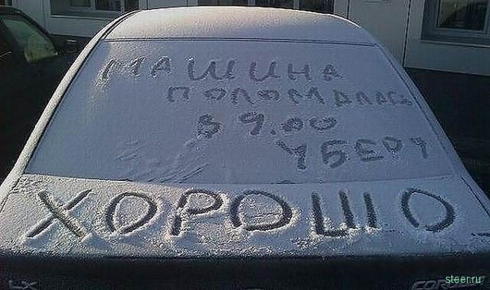Послания на автомобилях (фото)