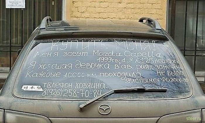 Послания на автомобилях (фото)