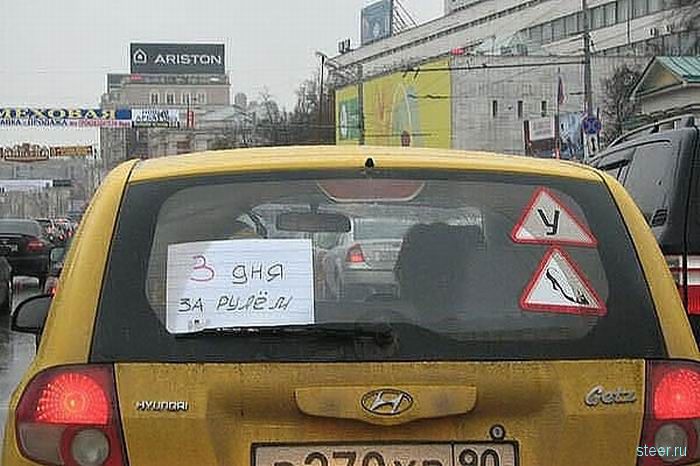 Послания на автомобилях (фото)