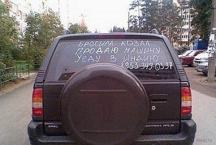 Послания на автомобилях (фото)