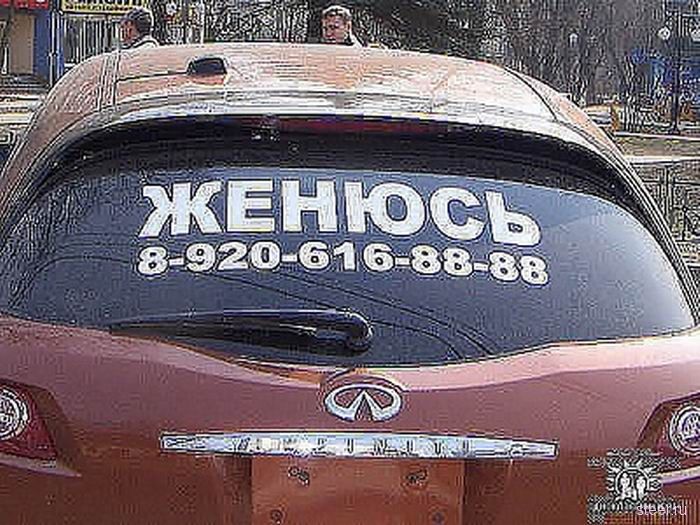 Послания на автомобилях (фото)