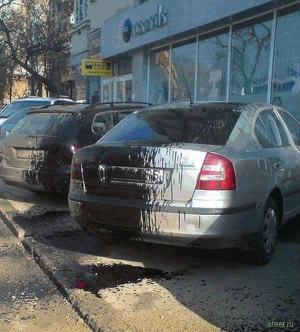 Жестокая ошибка асфальтоукладчика (фото)