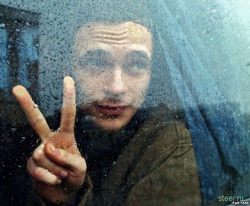 На каких автомобилях ездит российская оппозиция (обзор и фото)