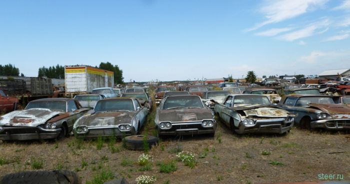 Автомобильное кладбище в Оригоне (фото)