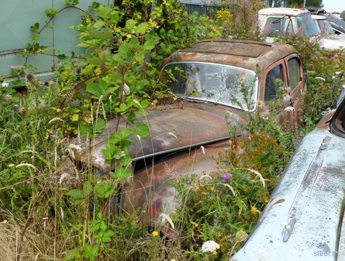 Автомобильное кладбище в Оригоне (фото)