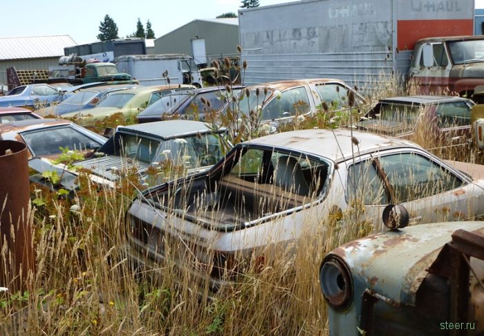 Автомобильное кладбище в Оригоне (фото)