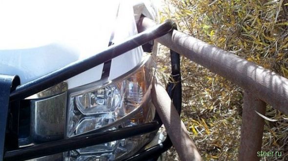 Фактор везения (фото)