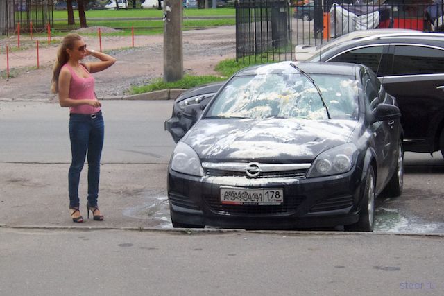 Автомобильная месть (фото)