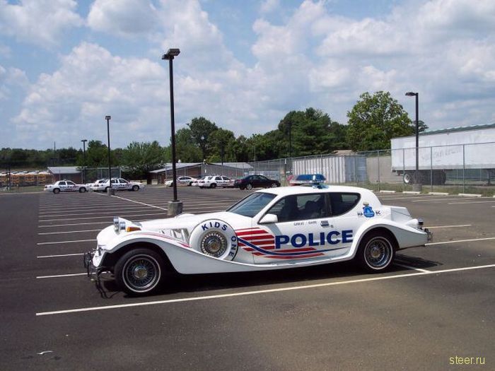 Необычные полицейские автомобили (фото)
