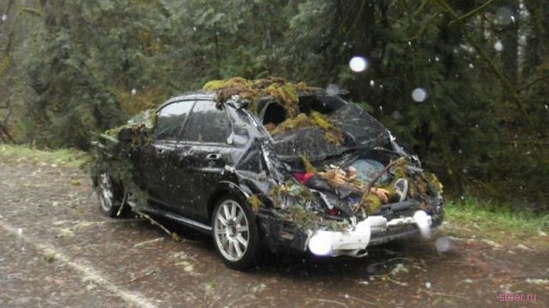 Крепкий кузов Subaru спас водителя от смерти (фото)  