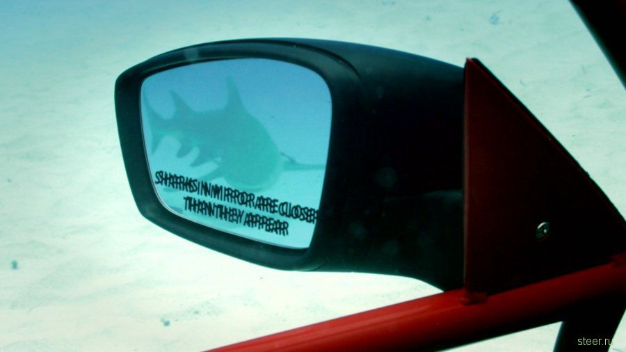 VW Beetle превратили в клетку для наблюдения за акулами (фото и видео)