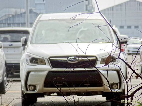 Новый Subaru Forester сфотографировали без камуфляжа