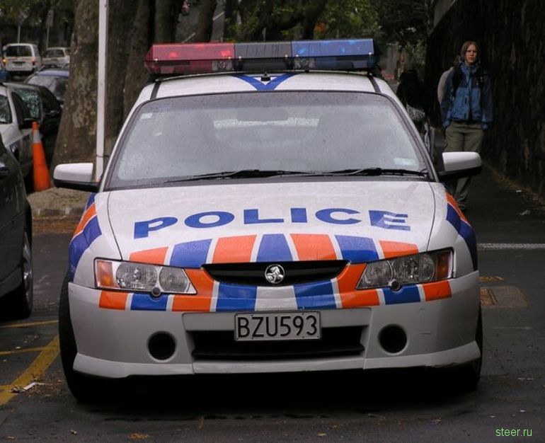 Полицейские автомобили