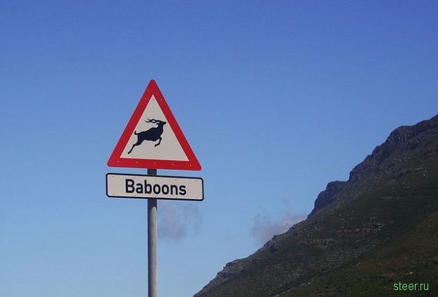 Дорожный юмор в ЮАР