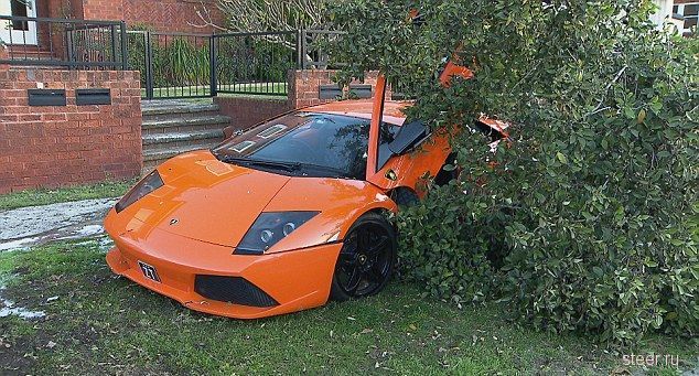 Владелец Lamborghini прокатил потенциального покупателя в дерево