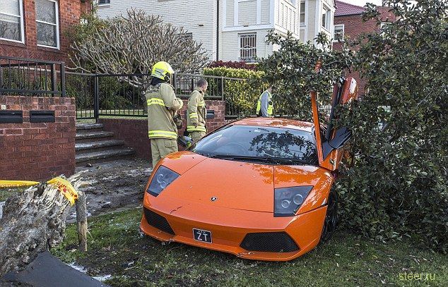 Владелец Lamborghini прокатил потенциального покупателя в дерево