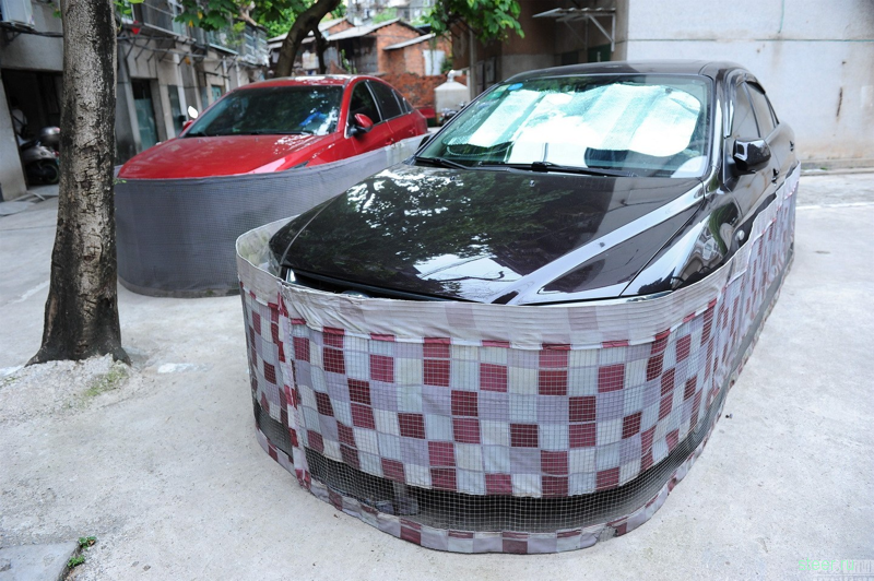 Китайская защита автомобиля от грызунов-вредителей 