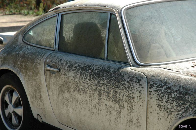 Забытый Porsche, который покрылся мхом и водорослями, продают за 19 тысяч долларов