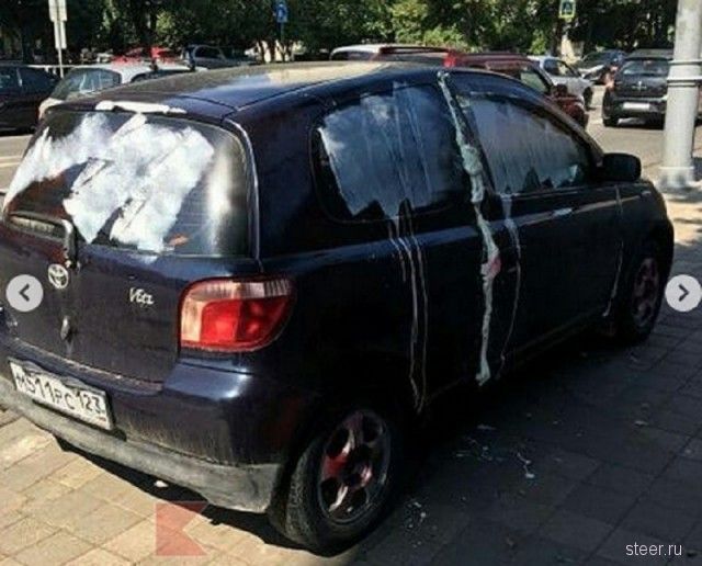 Жители Краснодара жестко наказали горе-парковщика