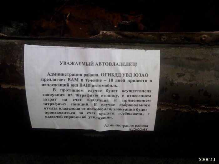 Надлежащий вид (фото)