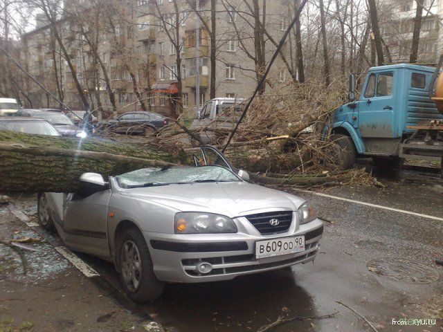 последствия урагана в Москве