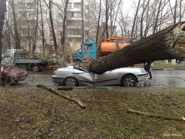 последствия урагана в Москве