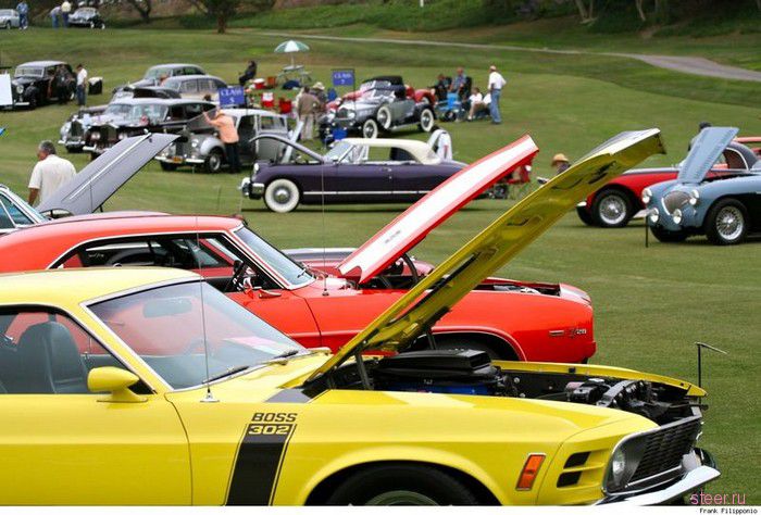 Dana Point Concours 2010 (фото)