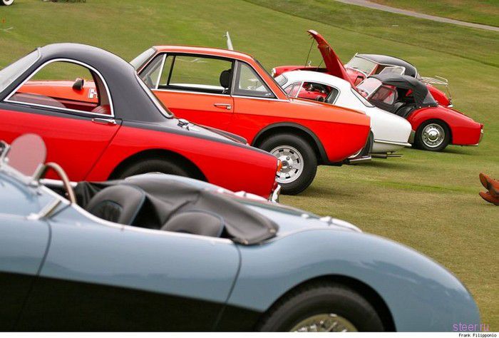 Dana Point Concours 2010 (фото)