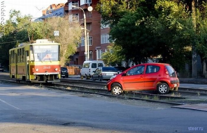 Дорожные истории (фото)
