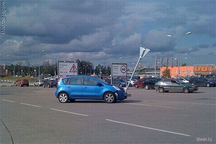 Дорожные истории (фото)