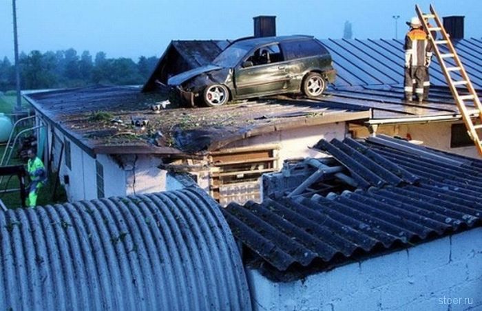 Дорожные истории (фото)