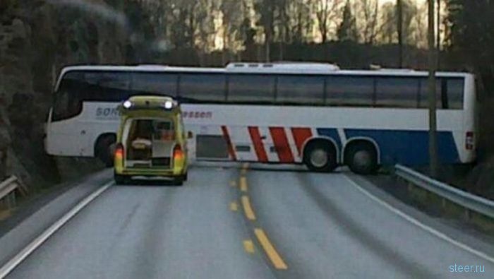Дорожные истории (фото)