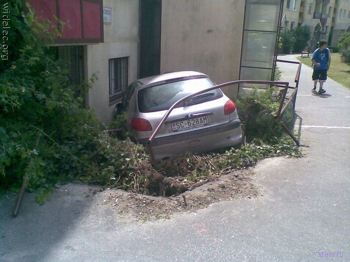 Дорожные истории (фото)