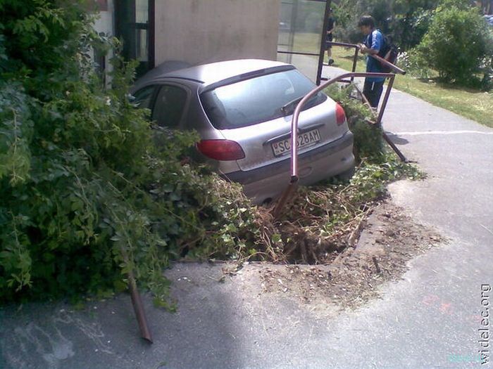 Дорожные истории (фото)