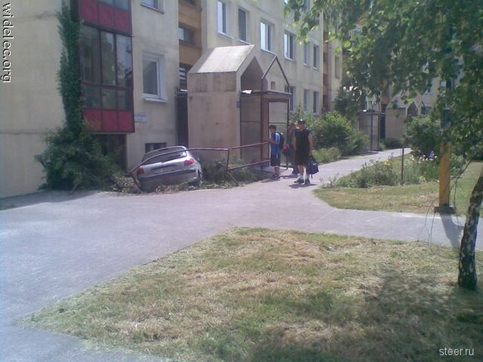 Дорожные истории (фото)