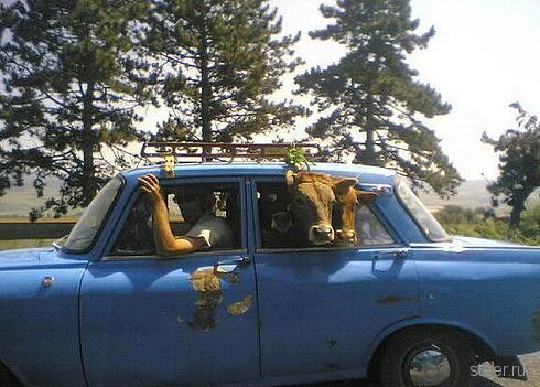авто юмор