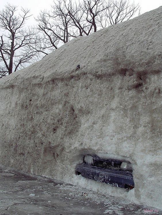 авто юмор